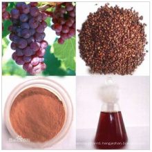 Raw Materials Organic Solvents Grape Seed Oil CAS: 85594-37-2